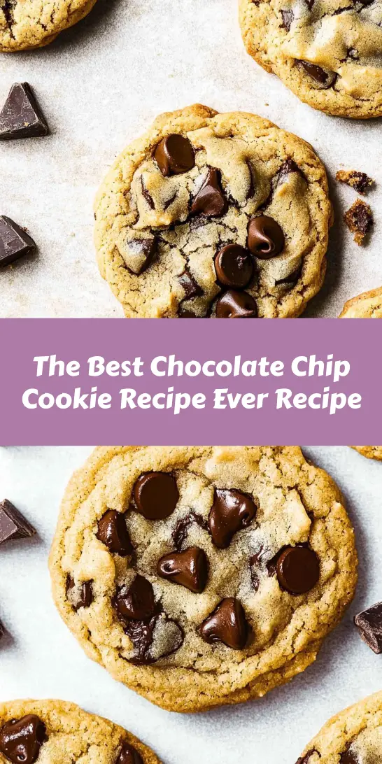 The Best Chocolate Chip Cookie Recipe Ever Recipe
